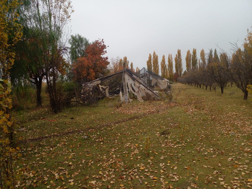 Finca En Venta En C. Benegas, San Rafael - Ideal Para Vivir O Emprender ¿buscás Un Lugar Para Disfrutar De La Tranquilidad Y La Naturaleza?