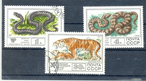 Estampillas Unión Soviética  Rusia 1977 Reptiles Tigre 