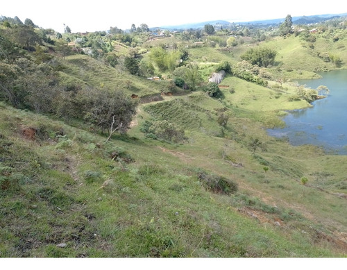 Venta De Lote En El Peñol