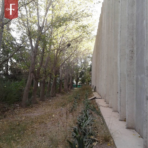 Imagen 7 de 9 de Galpon En Venta En San Luis