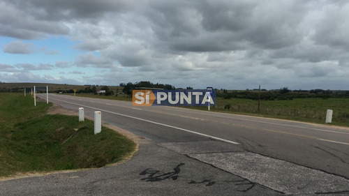 Imagen 12 de 13 de Campo En Garzón Venta Turístico