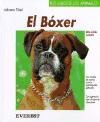 El Boxer   2 Ed De Johanna Thiel