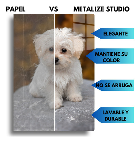 Cuadros Personalizados Metálicos + Soportes 20x15cm Full Color Hd