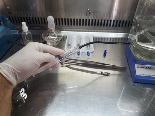 Micelio Liquido De Cogumelo Pleurotus Em Meio Liquido Esporo