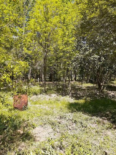 Venta Terreno En Barrio La Catalina En Roldan