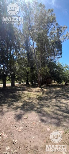 Imagen 9 de 15 de Terreno - Canning (ezeiza)