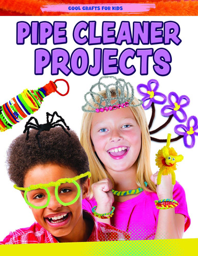 Libro:  Libro: Pipe Cleaner Projects (cool Crafts For Kids)