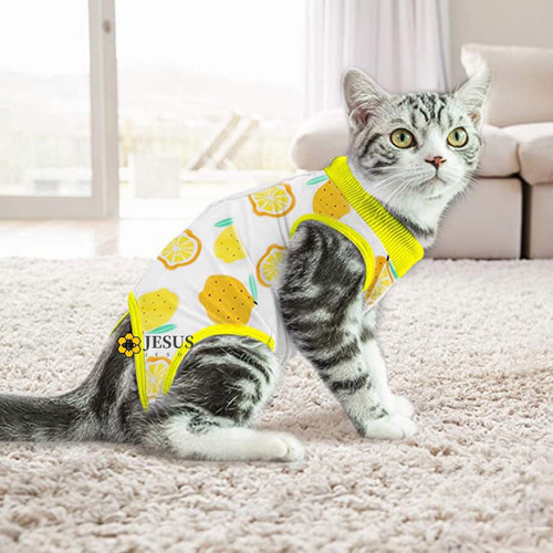 Imagen 4 de 8 de Fajas Postoperatorias Para Gato Y Perro Chaleco Mascotas