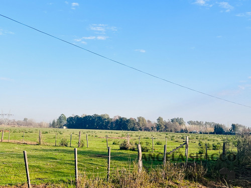 Excelente Campo Agrícola/ganadero!.