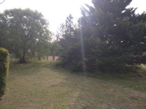 Imagen 5 de 12 de Venta Lote Solares Carcaraña 1