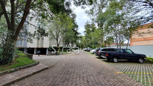 Departamento En Renta, San Jeronimo Lidice