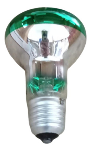 Lampada Spot Refletora Verde R63 13v 40w E27 Decorativa 6pç