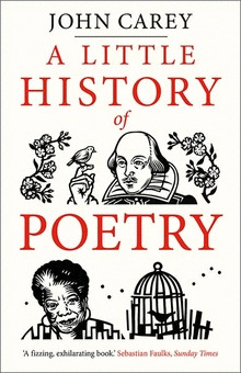 Libro A Little History Of Poetry Sku