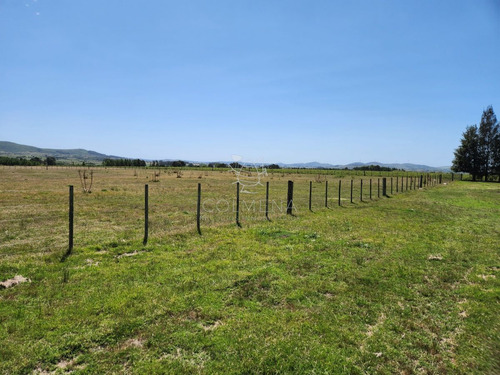 Imagen 12 de 30 de Chacra 5 Hs Con 2 Casas - Consulte !!! - Zona Rural Zona Rural