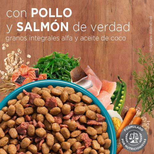 Alimento Purina® One® Purina One Purina® One® gato adulto para gato adulto todos los tamaños sabor  pollo y salmón en bolsa de 6 kg