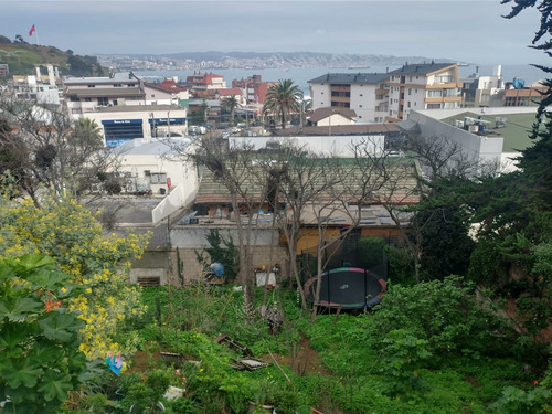 Terreno En Reñaca / Emiliano Figueroa 