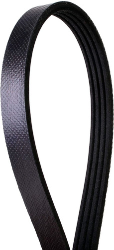 Tecnología De La Serie Continental Oe 4040385 4-rib, 38.5 M