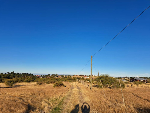 Parcela De 5000 M2 Factibilidad Pozo, Postación Eléctrica