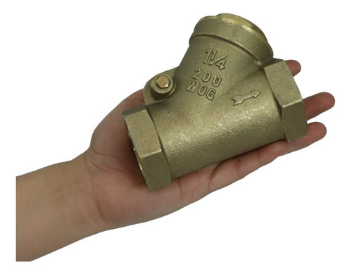 Valvula Check Retencion Columpio 1-1/4puLG 21600330