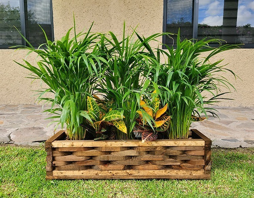 Imagen 2 de 8 de Maceta De Madera Jardinera Piña
