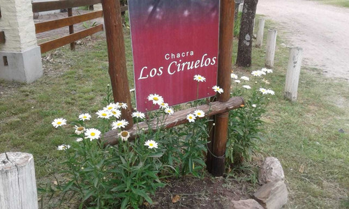 Imagen 12 de 12 de Chacra Los Ciruelos