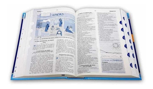 Imagen 7 de 7 de La Biblia Católica Para Jóvenes (tapa Dura) / Verbo Divino