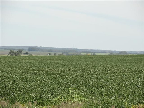 Campo En Venta En Solís De Mataojo
