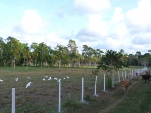 Imagen 9 de 14 de Venta Finca Los Apamates Boca De Aroa Piscina Cod. 426996 Cesar Laurentin