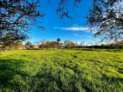 Venta Terreno 550m² En Luis Palacios