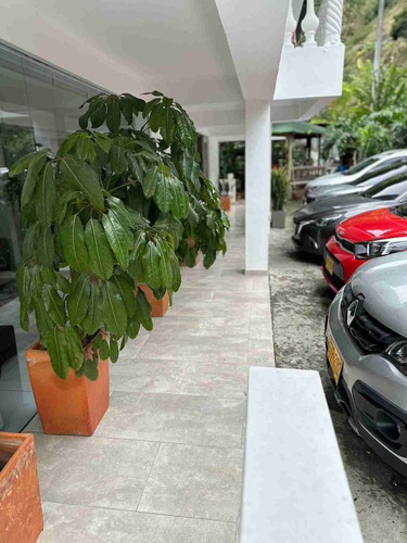 Casa Campestre En Venta En La Violeta - Manizales (279057698).