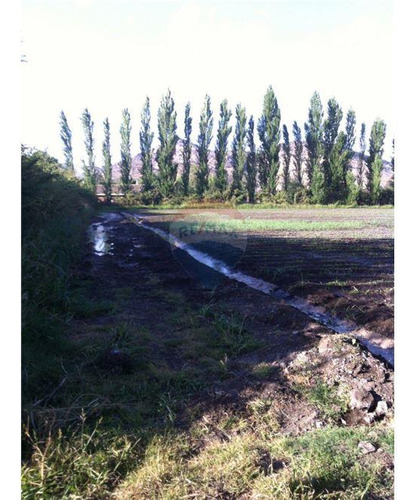 Oportunidad Parcela Camino Tierra Linda
