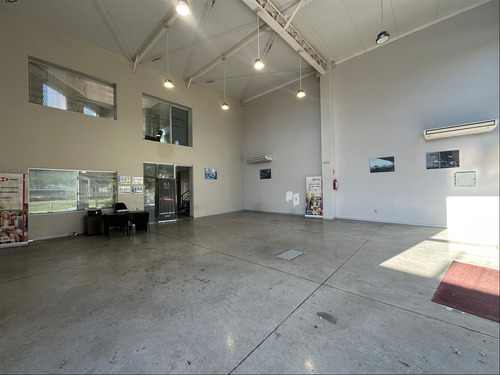 Buceo Alquiler De Muy Buen Local Comercial 451m2