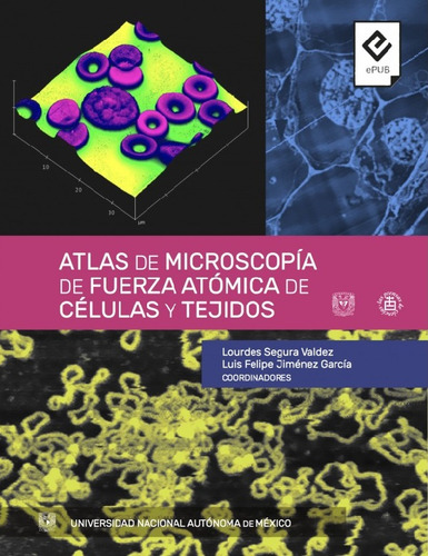 Atlas De Microscopía De Fuerza Atómica De Células Y Teji, De María De Lourdes Segura (coordinadora). 6073007436, Vol. 1. Editorial Editorial Mexico-silu, Tapa Blanda, Edición 2018 En Español, 2018