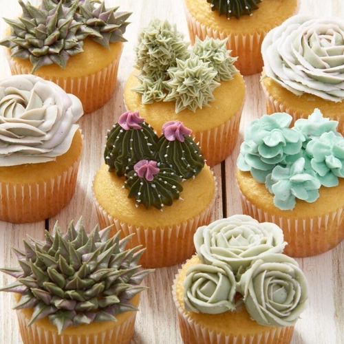 Imagen 4 de 5 de Picos Reposteria Con Caja 28 Picos Acero Whiskspro Titanweb