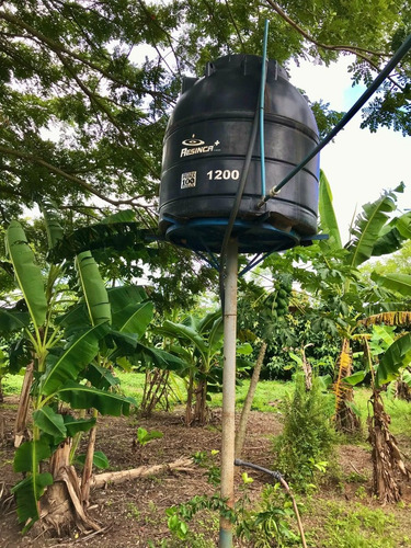 Imagen 7 de 19 de Finca En San Carlos Cojedes, Venta De Finca En San Carlos
