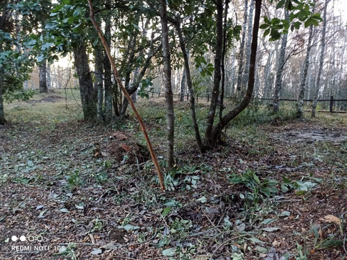 Imagen 7 de 11 de Parcela En Condominio El Arrayán, Con Laguna Y Vista Volcán