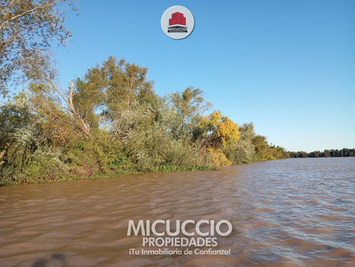 Lotes En Venta, Islas Campana, Partido De Campana, Sobre El Río Paraná. Se Escuchan Ofertas.