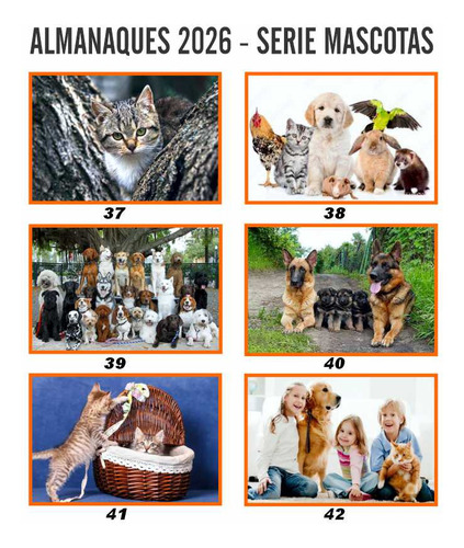 Almanaques 2026 Personalizados +1 Perforado Colgar 200 Udad Con Fotos Surtidas A Elección Tu Publicidad Comercial