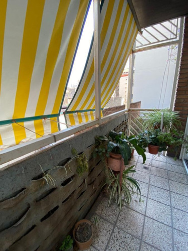 Imagen 5 de 14 de Departamento - Capital