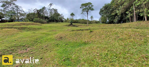 Excelente Sítio Localizado Em Gaspar. Você Precisa Conhecer !!! - 6002872v