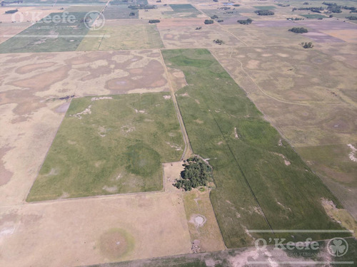 Campo En Venta Mixto De 246 Has En Saladillo