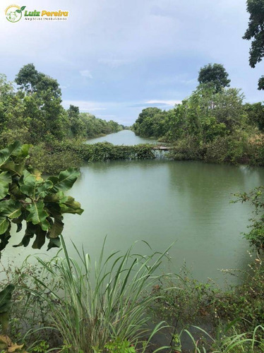 Imagem 1 de 15 de Fazenda Á Venda No Formoso Do Araguaia - To - 1.327,2 Hec., (dupla Ptidão) - 2263