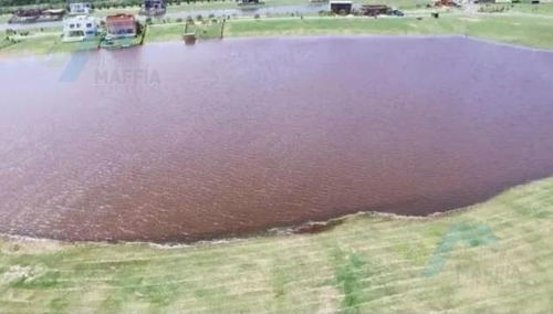 Imagen 5 de 16 de Venta De Terreno En El Naudir