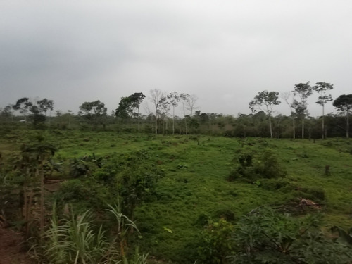 Imagen 8 de 22 de Vendo Hermosa Hacienda