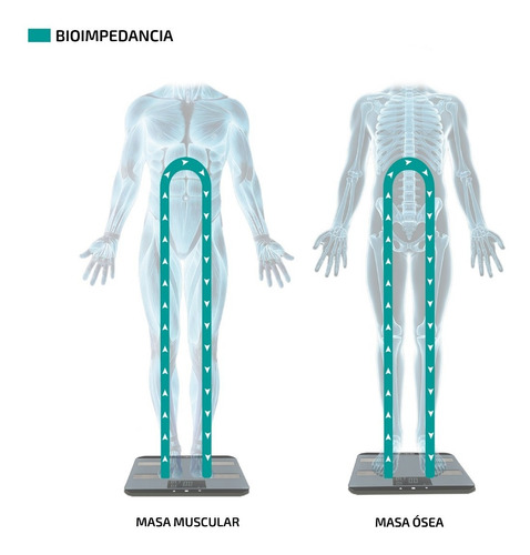 Imagen 4 de 9 de Balanza De Baño Inteligente Personal 180kg Electronica