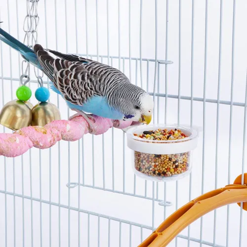 Comederos Para Aves En Paquete Completo
