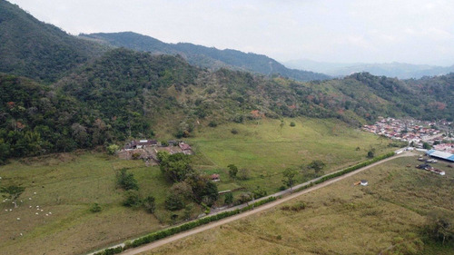 Imagen 28 de 30 de Finca Ganadera En Venta Táchira