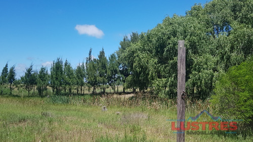 Imagen 8 de 13 de Chacra Terreno En Venta Lotes San Clemente Gral Lavalle