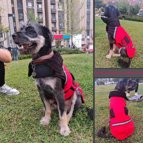 Traje De Algodón Para Perro,abrigos Chamarras Para Perro
