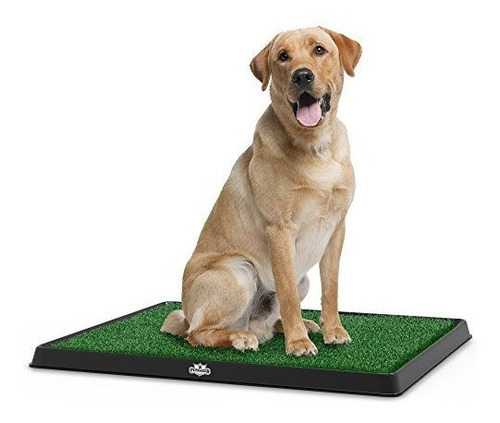 Alfombrilla De Baño De Cesped Artificial Para Cachorros    